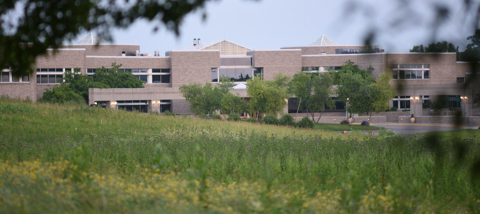 View through the trees