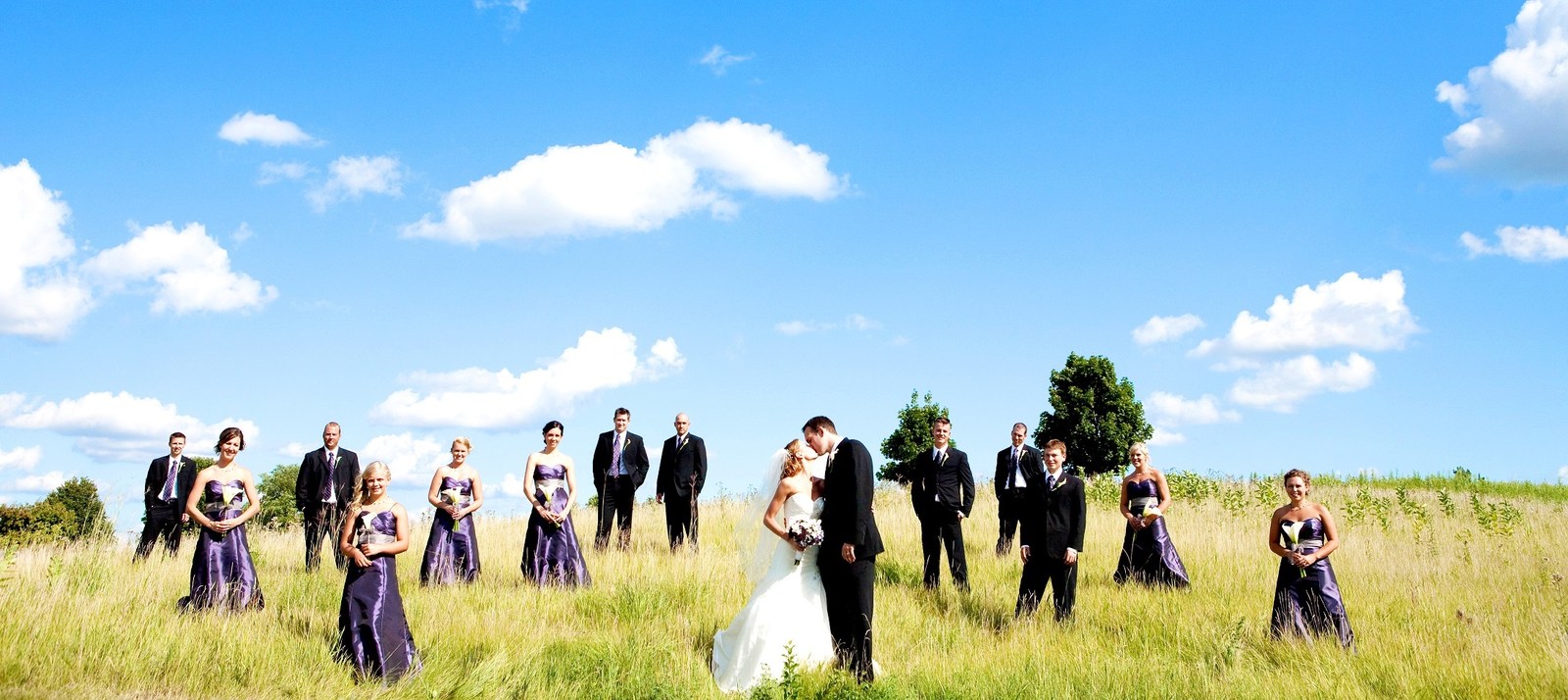 Wedding in the field